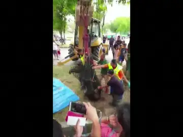El arduo rescate de un tapir atrapado en un desagüe El arduo rescate de un tapir atrapado en un desagüe