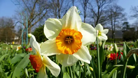 Escapadas de primavera Escapadas de primavera