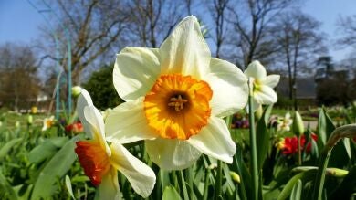 Todos los detalles del tiempo esta primavera: más cálida y menos lluviosa de lo normal