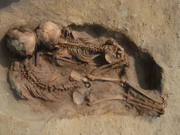 Hallan restos de cientos de niños y llamas por un sacrificio del S.XV en Perú Hallan restos de cientos de niños y llamas por un sacrificio del S.XV en Perú