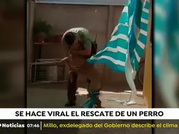 RESCATE PERRO CHILE RESCATE PERRO CHILE