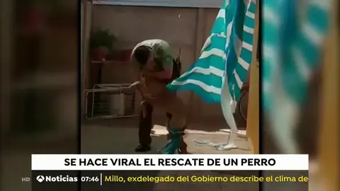 RESCATE PERRO CHILE RESCATE PERRO CHILE