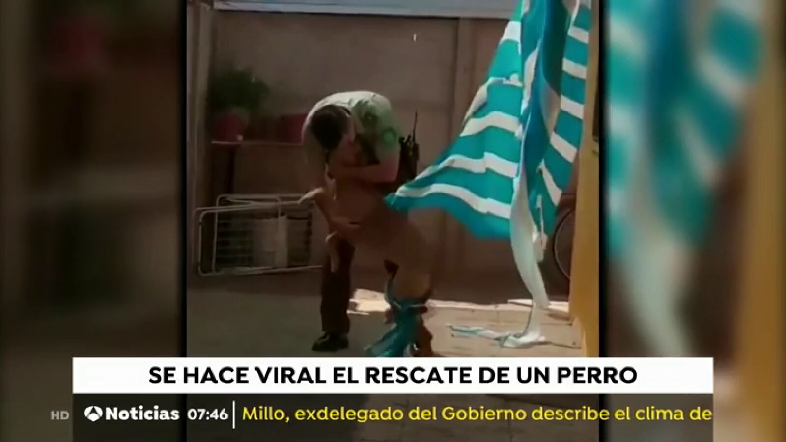 El rescate de un perro en Chile que ha emocionado al mundo