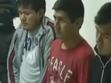 Identificada la Manada boliviana Identificada la Manada boliviana