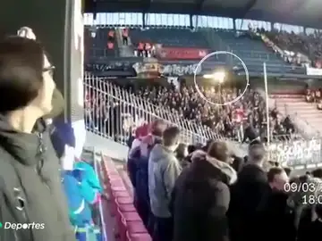 bengala_aficionada bengala_aficionada