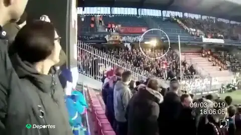 bengala_aficionada bengala_aficionada