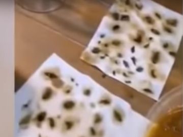 Imagen del vídeo en el que se ven las cucarachas muertas