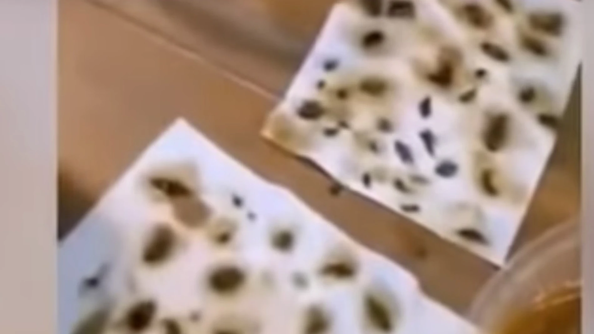 Imagen del vídeo en el que se ven las cucarachas muertas Imagen del vídeo en el que se ven las cucarachas muertas
