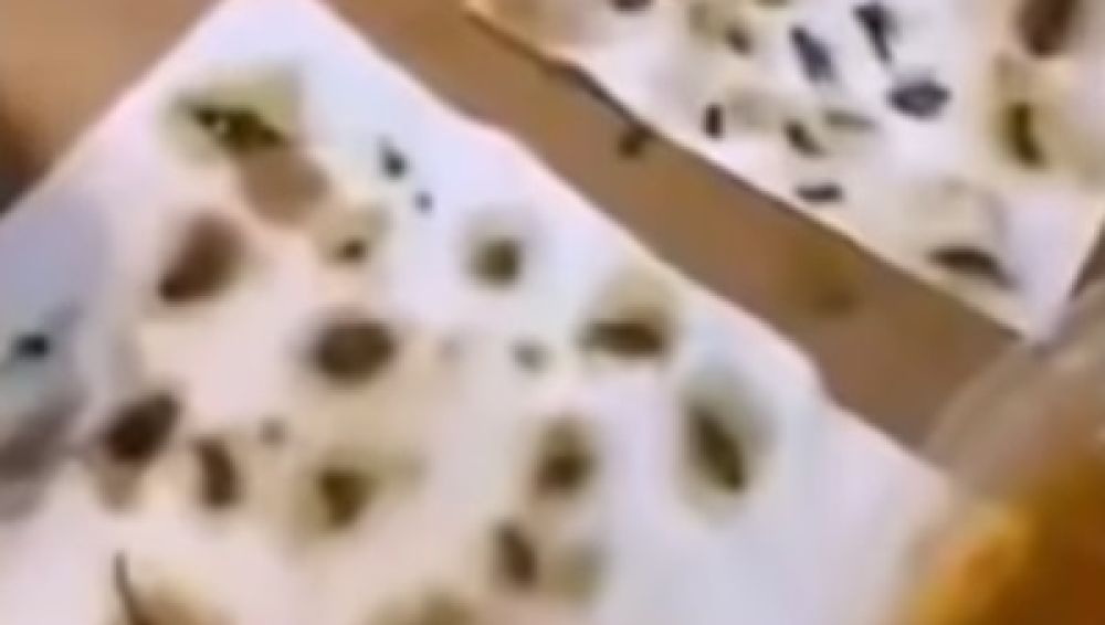 Cucarachas muertas encontradas en la comida