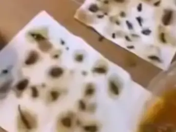 Cucarachas muertas encontradas en la comida Cucarachas muertas encontradas en la comida