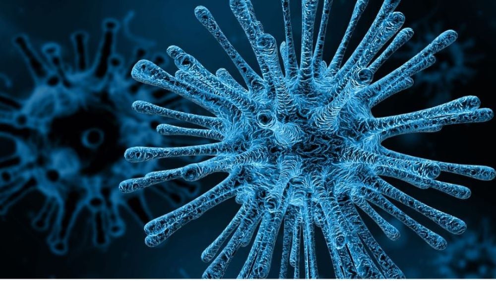 Los virus interactuan socialmente entre ellos para evadir al sistema inmunitario