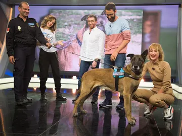 ¿Te gustaría adoptar a Krum, un héroe que ha trabajado en la Policía Nacional? ¿Te gustaría adoptar a Krum, un héroe que ha trabajado en la Policía Nacional?