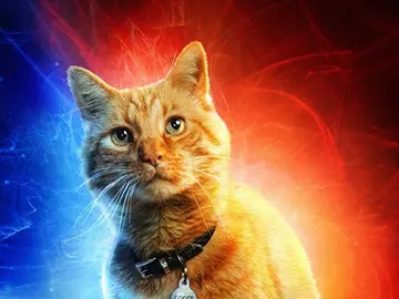 Goose en 'Capitana Marvel' Goose en 'Capitana Marvel'