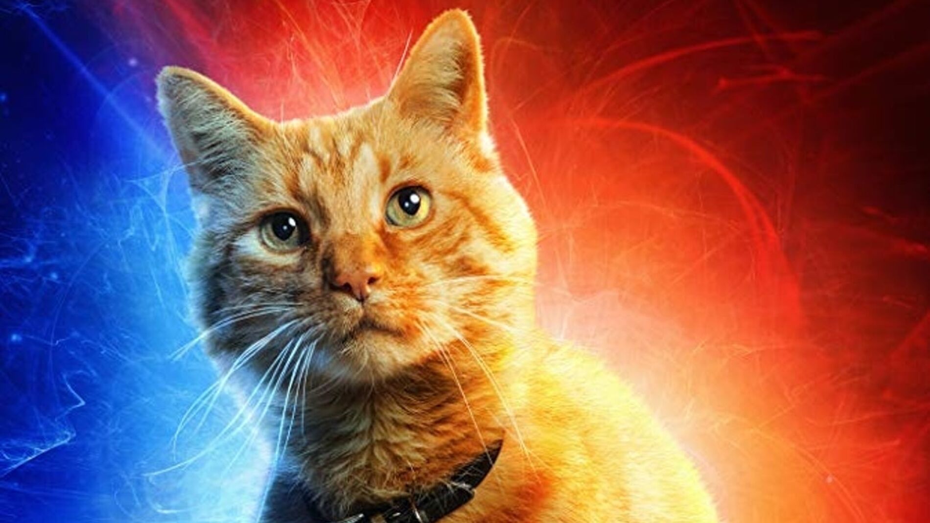Goose en 'Capitana Marvel'