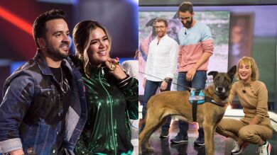 Antena 3, líder absoluta del Prime Time (15,5%) gracias a 'El Hormiguero 3.0' (2.732.000 espectadores, 14,8%) y 'La Voz' (2.193.000 espectadores y el 17,1%)