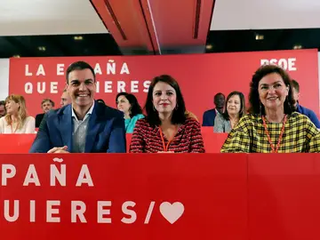 Pedro Sánchez en el Comité Federal del PSOE Pedro Sánchez en el Comité Federal del PSOE