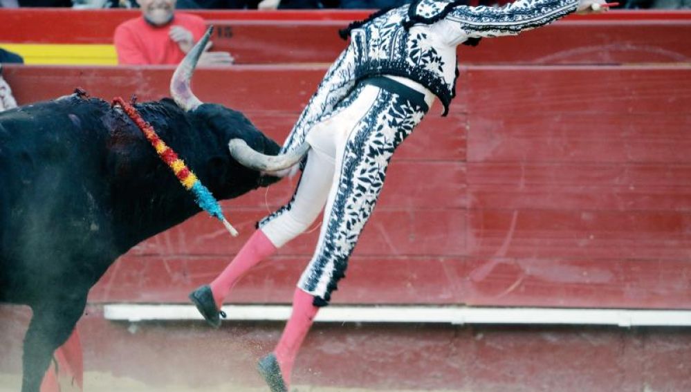 El diestro, Enrique Ponce, durante la cogida en la Plaza de Toros de Valencia