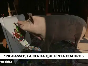 REEMPLAZO Así es 'Pigcasso', la cerdita que pinta cuadros por valor de 3.500 euros REEMPLAZO Así es 'Pigcasso', la cerdita que pinta cuadros por valor de 3.500 euros