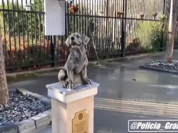 La Policía Local de Granada levanta una estatua en honor a los perros de la Unidad Canina La Policía Local de Granada levanta una estatua en honor a los perros de la Unidad Canina
