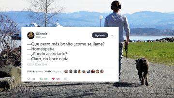 ¿Puedo acariciarlo? ¿Puedo acariciarlo?