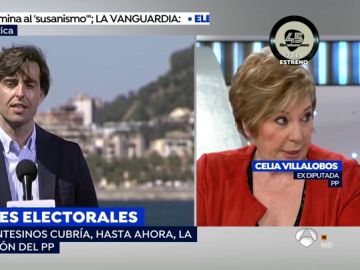 La exdiputada del PP, Celia Villalobos.