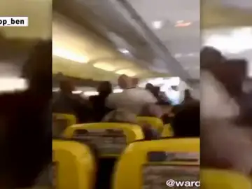 Le muerde la nariz en pleno vuelo Glasgow-Tenerife Sur Le muerde la nariz en pleno vuelo Glasgow-Tenerife Sur
