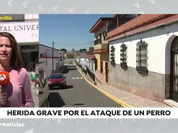 Herida grave una mujer tras ser atacada por un perro de raza peligrosa en Gerena (Sevilla) Herida grave una mujer tras ser atacada por un perro de raza peligrosa en Gerena (Sevilla)