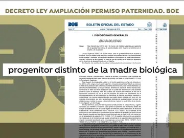Las nuevas definiciones que el BOE recoge sobre la maternidad y la paternidad: "Progenitor diferente de la madre biológica" Las nuevas definiciones que el BOE recoge sobre la maternidad y la paternidad: "Progenitor diferente de la madre biológica"