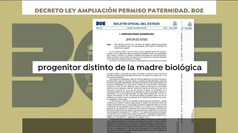 Las nuevas definiciones que el BOE recoge sobre la maternidad y la paternidad: "Progenitor diferente de la madre biológica" Las nuevas definiciones que el BOE recoge sobre la maternidad y la paternidad: "Progenitor diferente de la madre biológica"