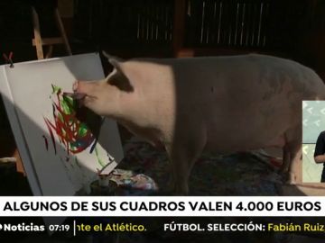 PIGCASSO