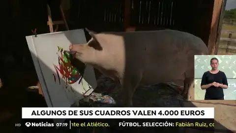 PIGCASSO PIGCASSO