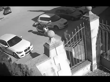 Abandona a su perra atándola a una verja en Palma y huye en su coche a toda prisa Abandona a su perra atándola a una verja en Palma y huye en su coche a toda prisa