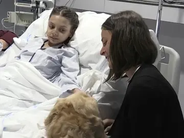 Zenit, el perro 'terapeuta' que logra reducir el dolor de los niños ingresados en la UCI Zenit, el perro 'terapeuta' que logra reducir el dolor de los niños ingresados en la UCI
