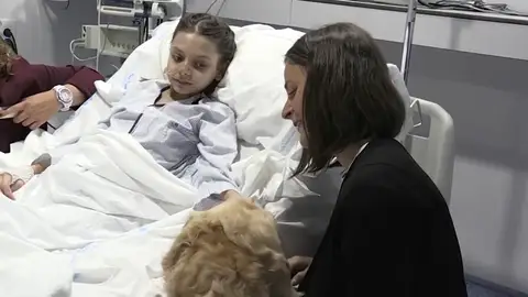 Zenit, el perro 'terapeuta' que logra reducir el dolor de los niños ingresados en la UCI Zenit, el perro 'terapeuta' que logra reducir el dolor de los niños ingresados en la UCI