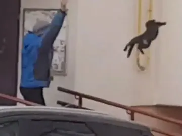 Imagen de la mujer lanzando el gato Imagen de la mujer lanzando el gato