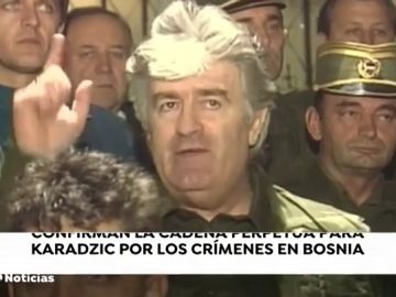 Confirman la cadena perpetua para Karadzic por los crímenes en Bosnia