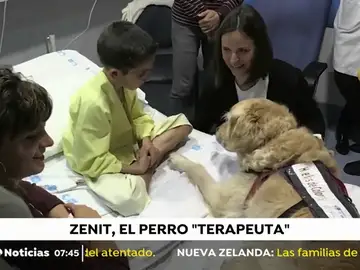 PERRO_TERAPEUTA PERRO_TERAPEUTA