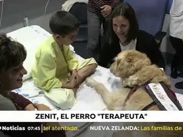 PERRO_TERAPEUTA PERRO_TERAPEUTA