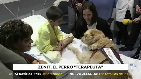 PERRO_TERAPEUTA PERRO_TERAPEUTA