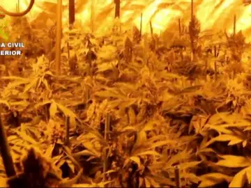 Desarticulado un grupo criminal dedicado al tráfico de speed en Cantabria y Bizkaia Desarticulado un grupo criminal dedicado al tráfico de speed en Cantabria y Bizkaia