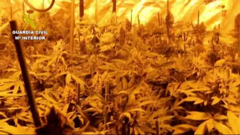 Desarticulado un grupo criminal dedicado al tráfico de speed en Cantabria y Bizkaia Desarticulado un grupo criminal dedicado al tráfico de speed en Cantabria y Bizkaia