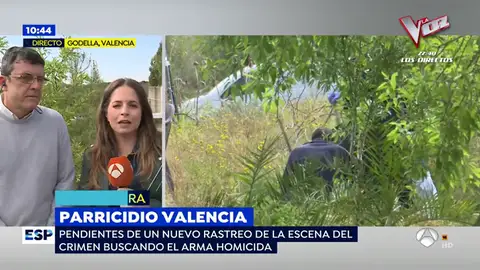Los hermanos de Godella habrían muerto de un golpe contra la piscina y por el impacto de un objeto punzante ninos