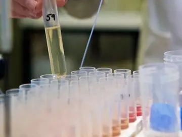 Una probeta en un laboratorio Una probeta en un laboratorio