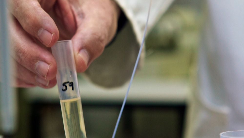 hallan una nueva vía de ataque para vencer al cáncer