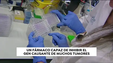 Experimentan con un fármaco que puede ser eficaz con la mayoría de los cánceres Experimentan con un fármaco que puede ser eficaz con la mayoría de los cánceres