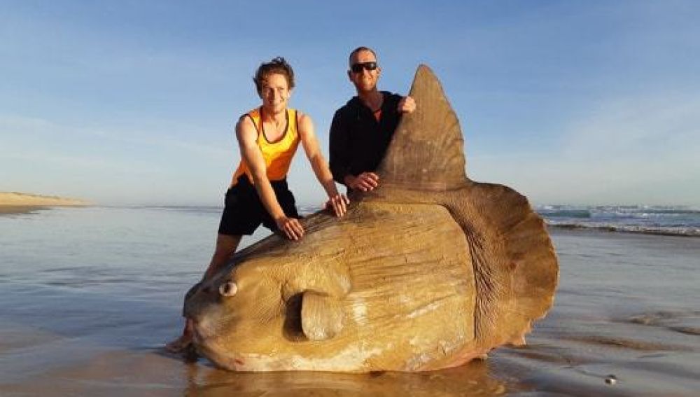 Los dos pescadores junto al pez