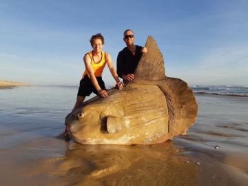 Los dos pescadores junto al pez