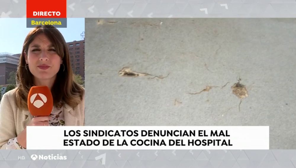 Cucarachas o mobiliario oxidado en la cocina del hospital Vall d'Hebron de Barcelona