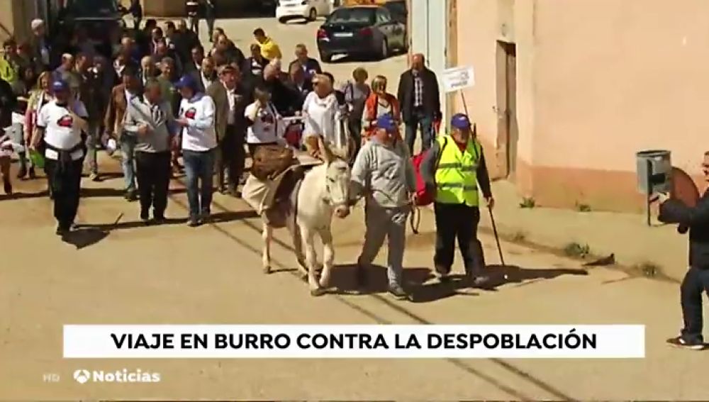 El alcalde de un pueblo de Soria irá en burra desde su pueblo hasta a Calatayud para denunciar la falta de medios de transporte