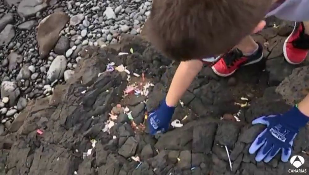 Niños de primaria aprenden a mantener limpio el entorno